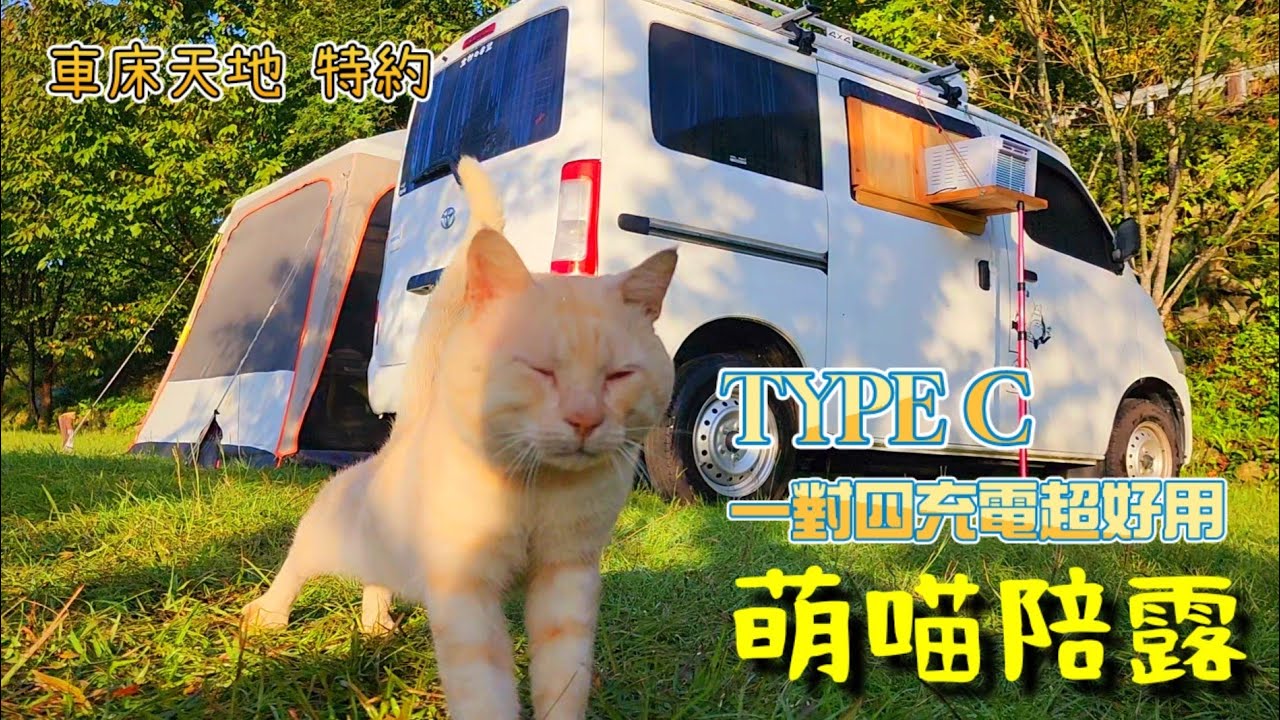 車泊 Vanlife 🚗｜新竹 尖石鄉 泰里埔露營區🏕｜DIY露營桌｜二隻萌貓🐈伴你露｜1200m高海晚上只有17度🧣｜車床天地 特約 #浪浪 #收編