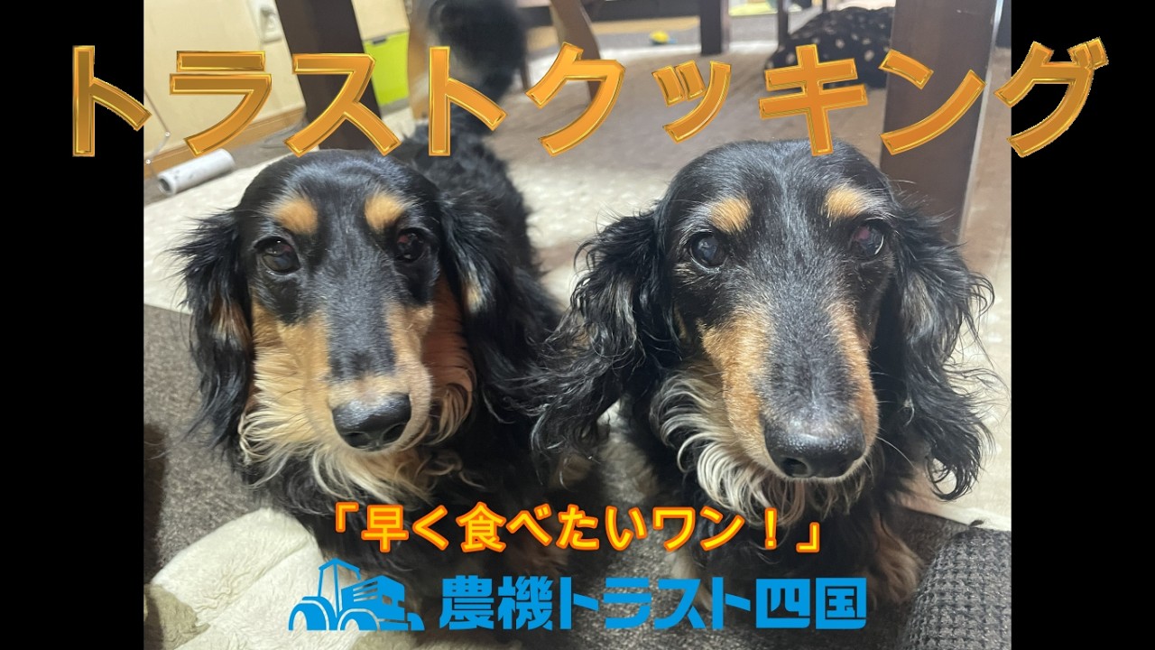 トラストクッキング　（ほうれん草の炒め物）