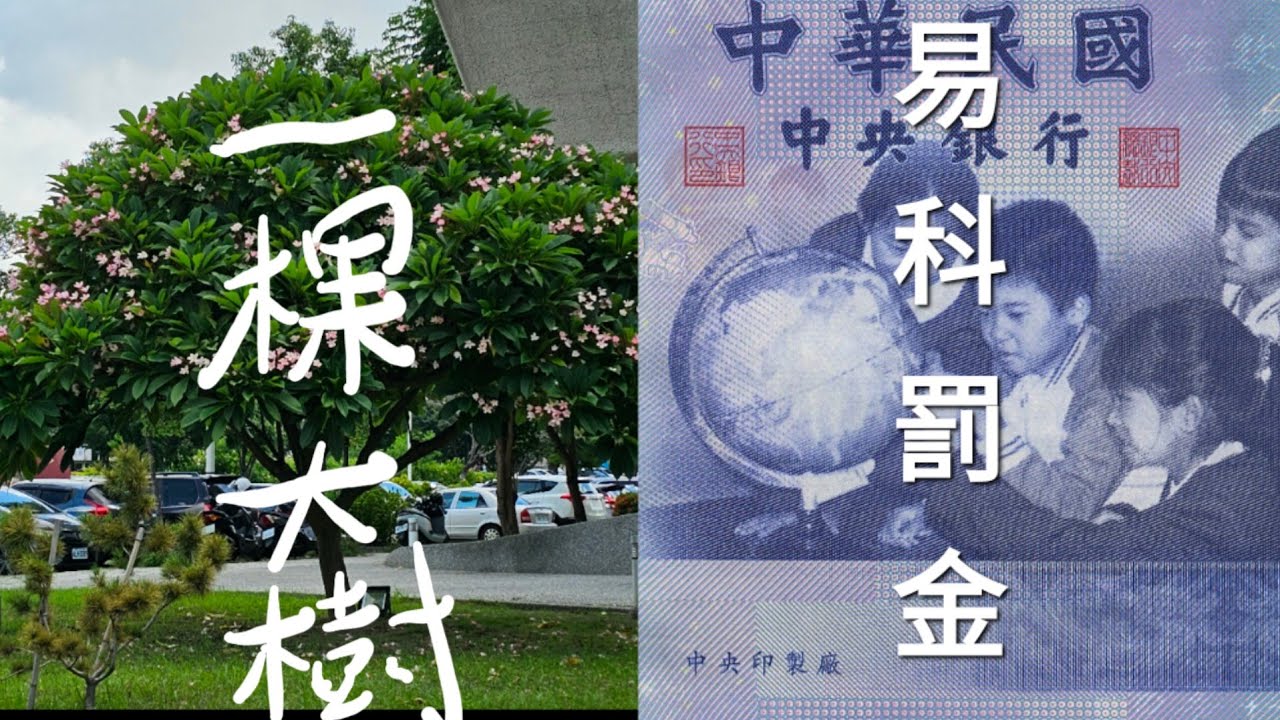 發生車禍，可以易科罰金不要被關嗎？