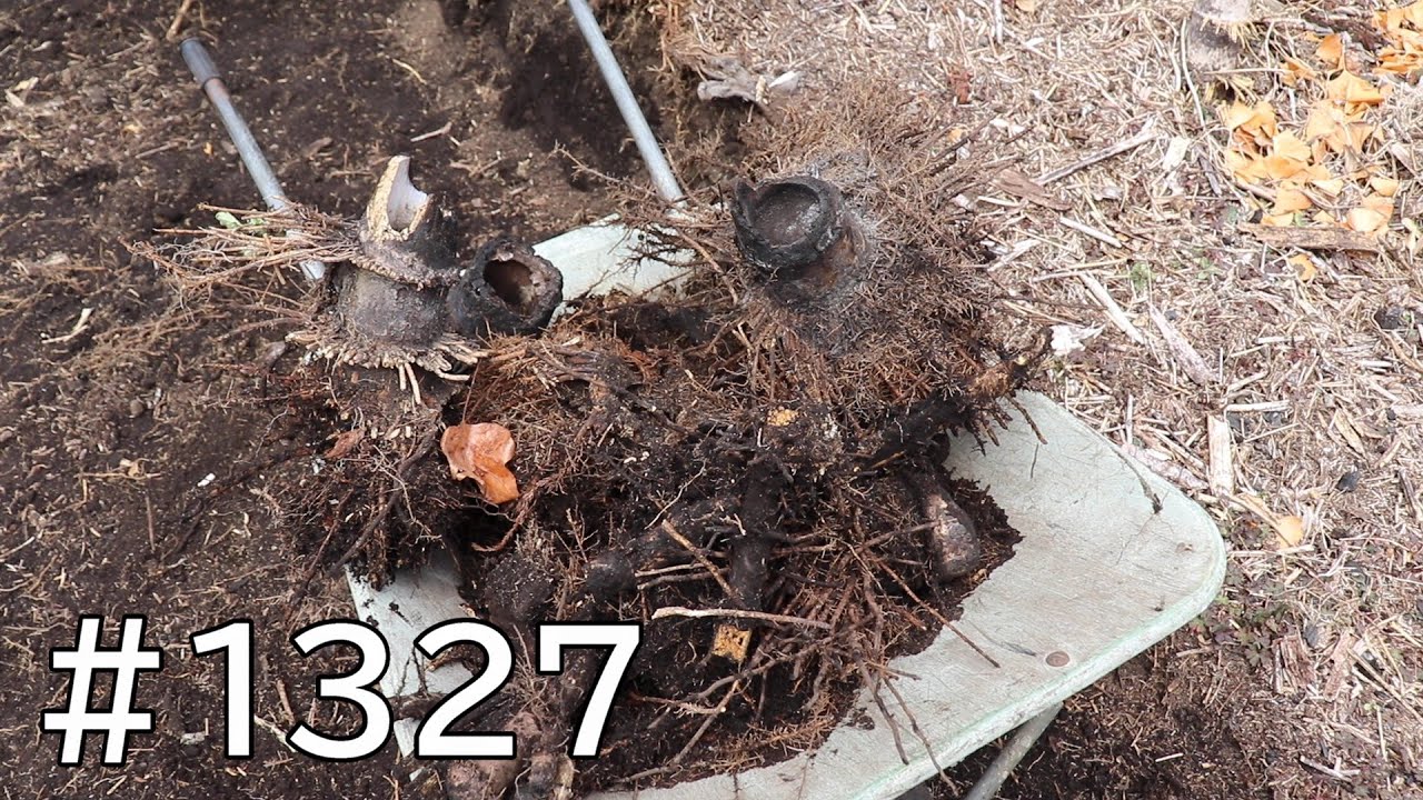 元竹藪整地65｜孟宗竹の竹株をボコッと掘り上げるよ！謎パイプも出現で何から手を付けよう…