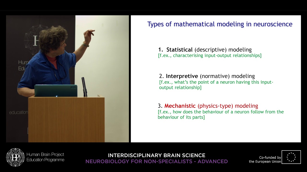 Lecture 6: Gaute Einevoll - Computational neuroscience: Bridging brain scales with (...)