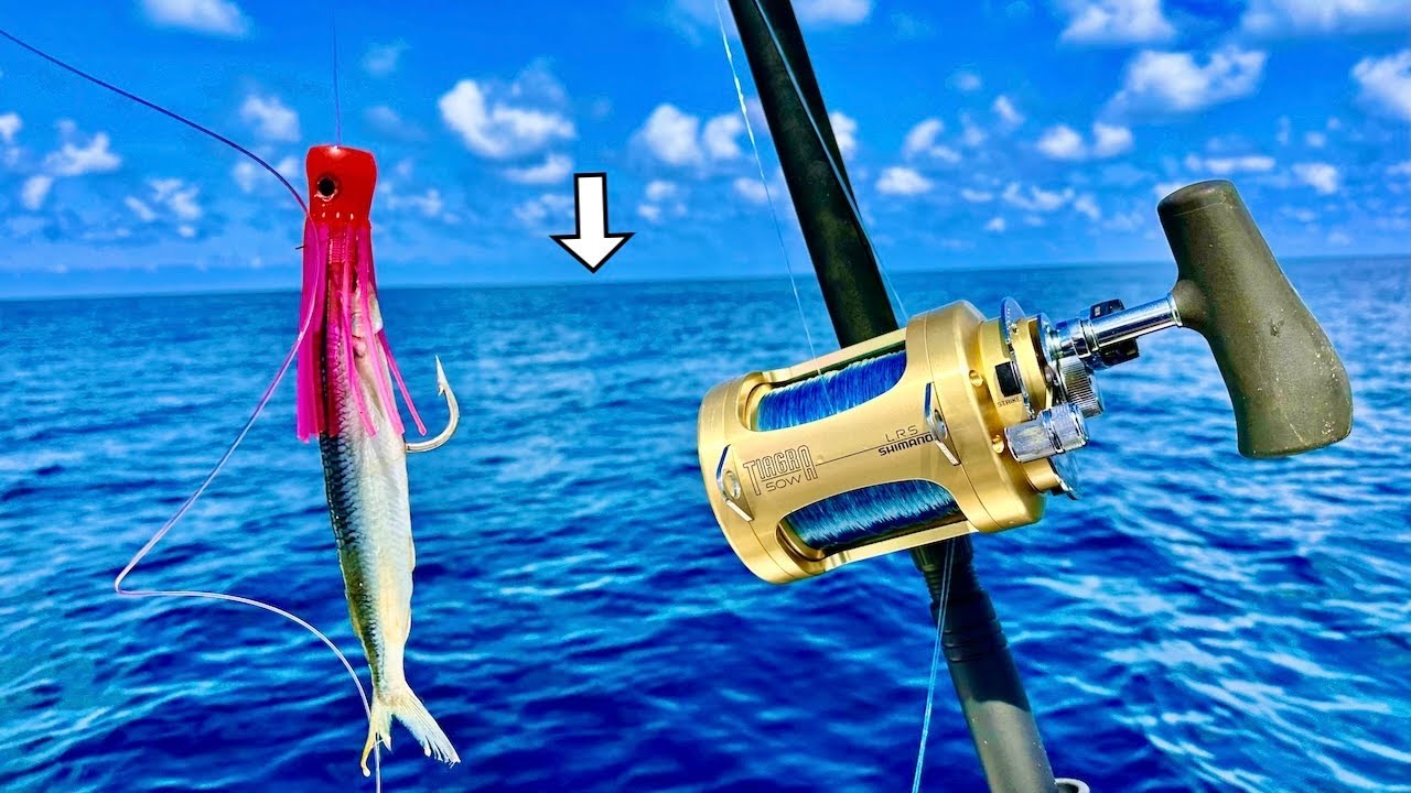 Fishing 65 miles out on a *24ft* Bay Boat When I Caught THIS!....[Catch, Clean, Cook]
