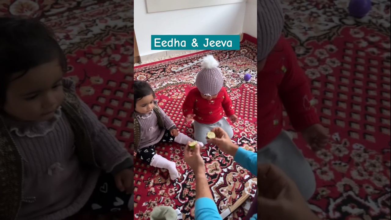 RubiNav's cuties Eedha and Jeeva learned a lesson from dad #abhinavshukla #rubinadilaik #rubinav