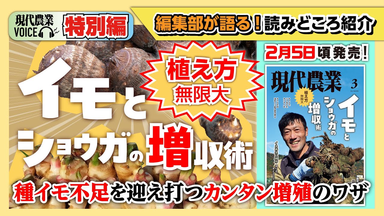 【編集部が語る】植え方無限大！イモとショウガの増収術【現代農業VOICE】