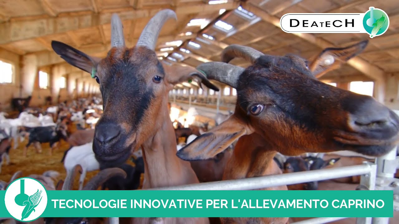 SOLUZIONI DEATECH PER LE CAPRE