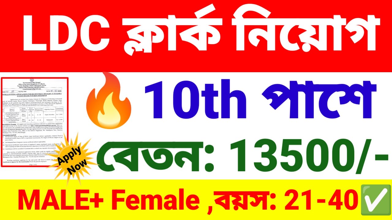 10th পাশে চাকরি LDC ক্লার্ক পদে | lower division clerk recruitment 2026 | wb new govt job vacancy.