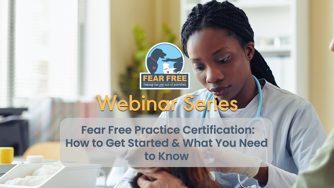 Fear Free Practice Certification: How to Get Started & What You Need to Know