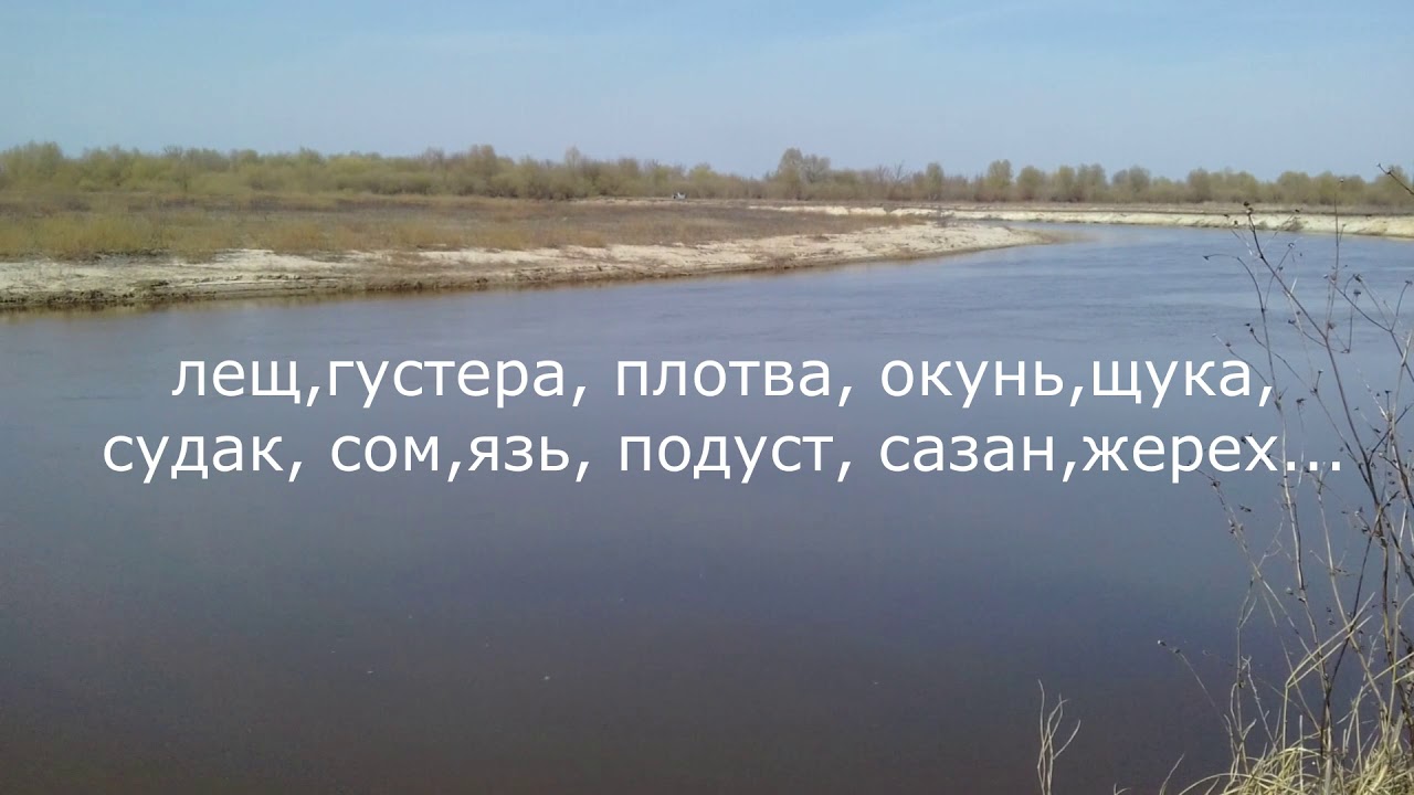 наша река Горынь