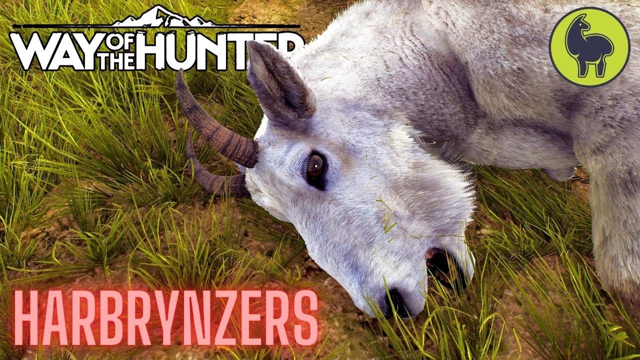 Harbrynzers, Aurora Shores | Way of the Hunter (PS5 4K)