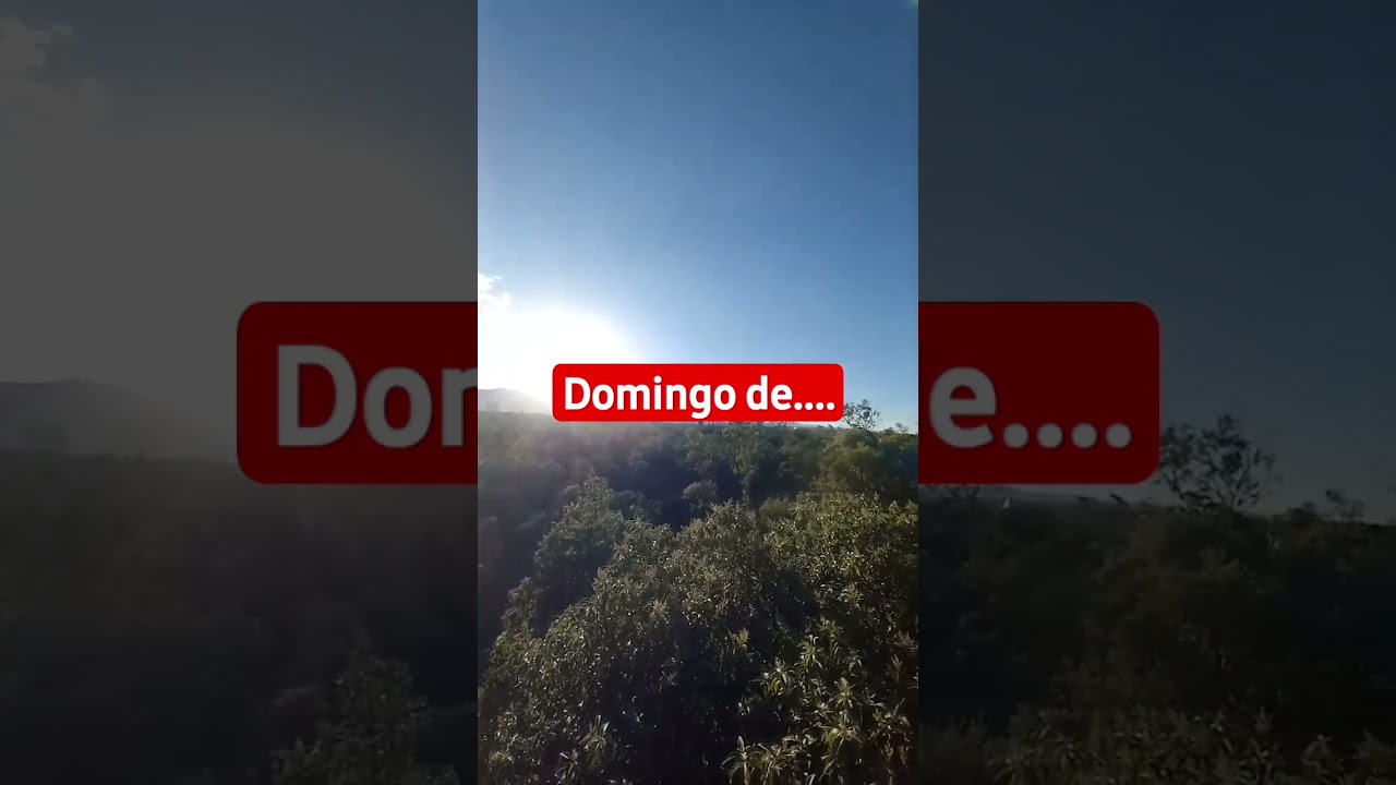 domingo de.... 
