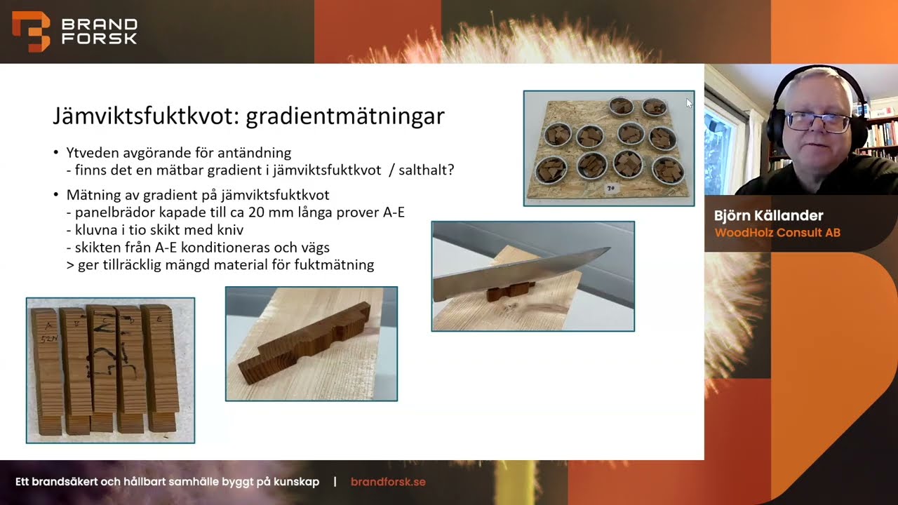 Kostnadseffektiv metod att skatta brandskyddsbehandlings status på befintliga fasader.