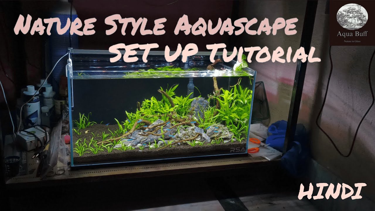 MID BUDGET Aquascape Setup | NATURE STYLE Planted Tank in Hindi | 4k