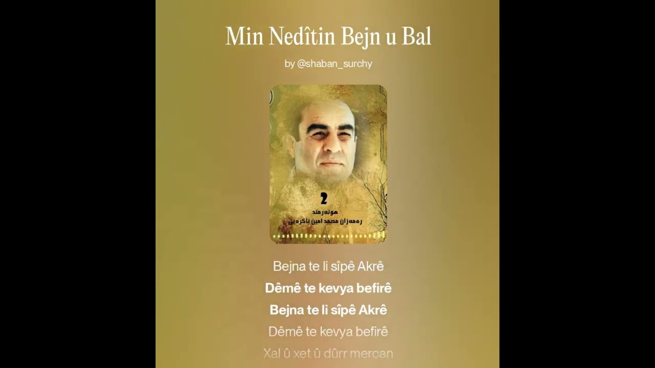 Hunermend Remezan Akreiy. Min Nedîtin Bejn u Bal 