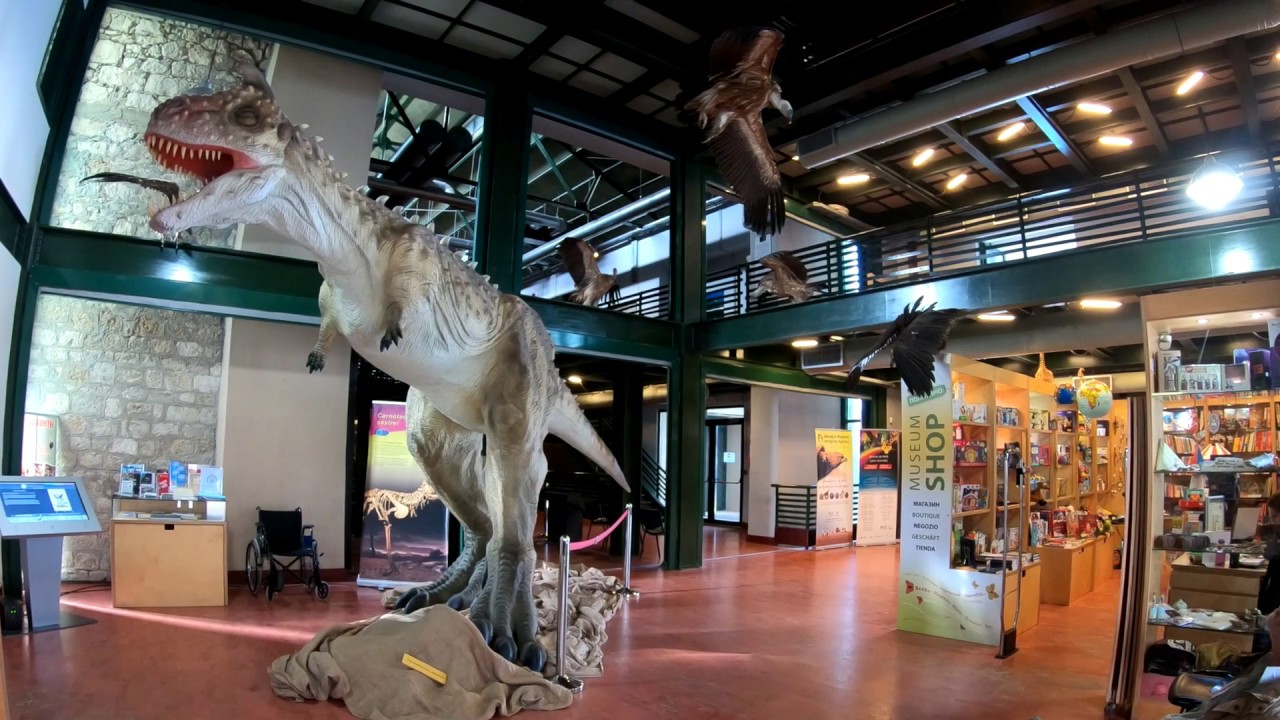 Μουσείο φυσικής ιστορίας Κρήτης/Natural history museum of Crete,   4K