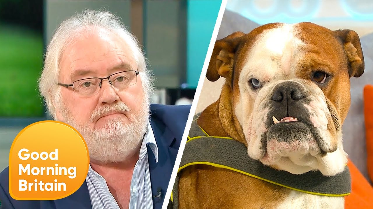 Should The British Bulldog Be Banned As A National Symbol? | Good Morning Britain