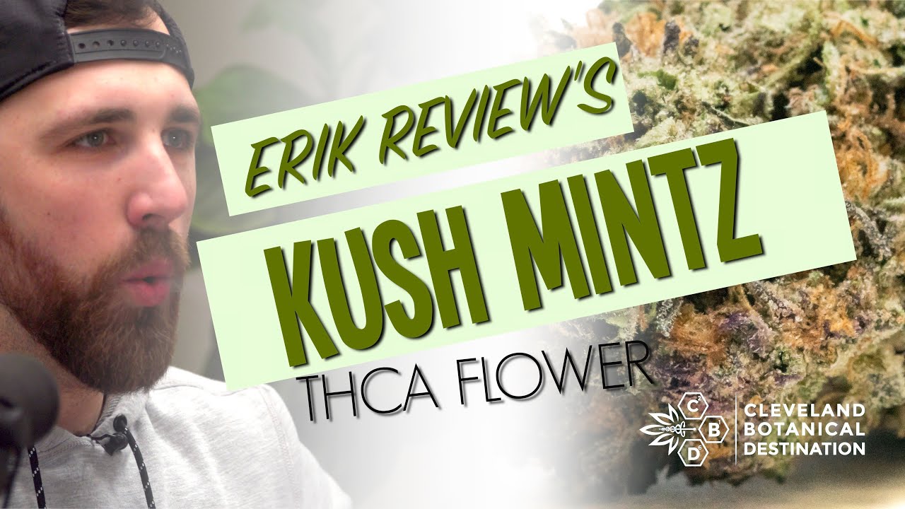 Kush Mintz THCA Flower Review w/ Erik  @wearecbd ​