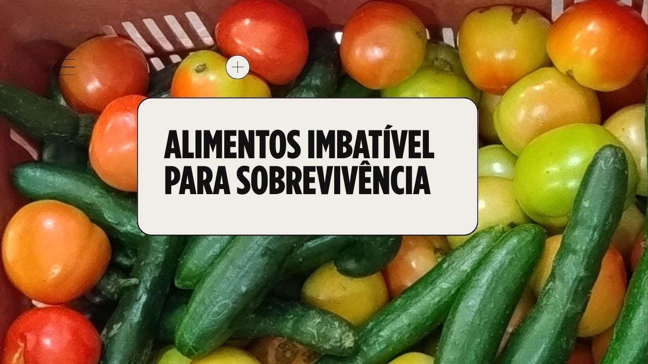 OS MELHORES ALIMENTOS PARA SOBREVIVENCIA