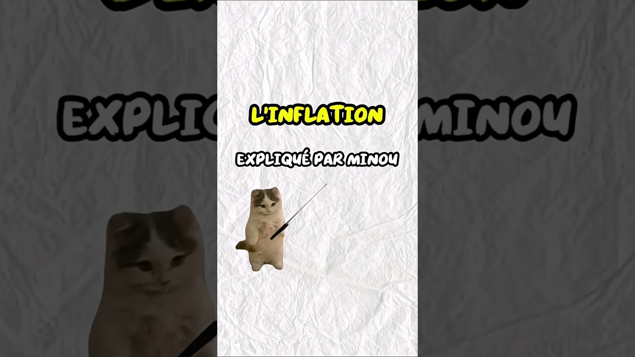 l&rsquo;inflation expliqu&eacute; par minou #Inflation #argent #explication #chat #minouexplique