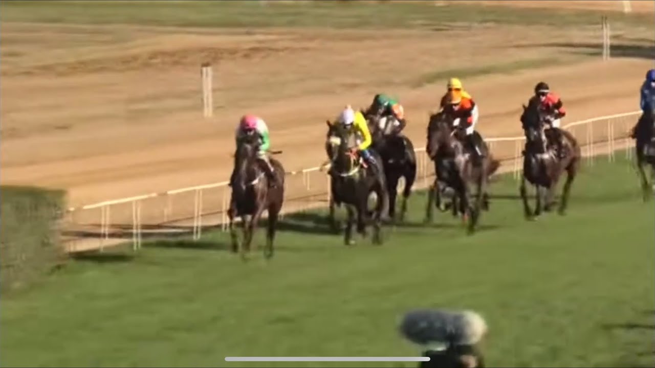 Kup Ljubičeva -7.9.2025 - 2400m  3g i st- Amore Boy