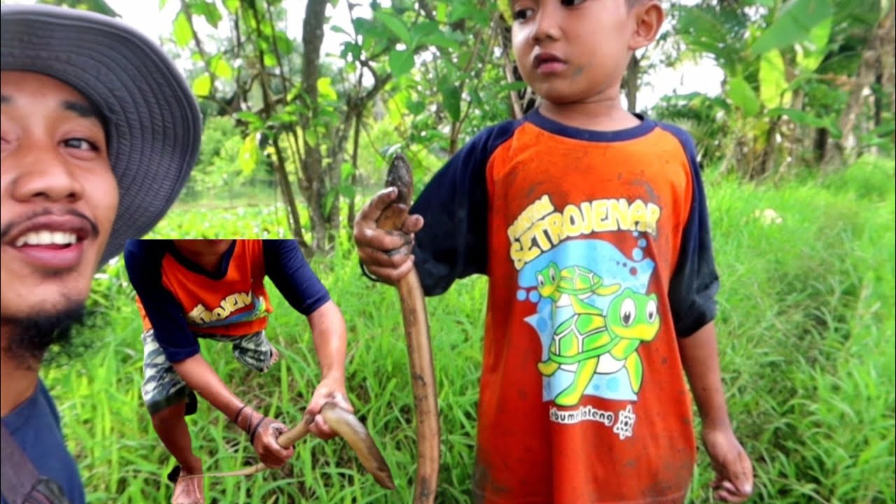 Baru kali ini Mamet ngonten seneng banget || Mancing Belut supeer galaak
