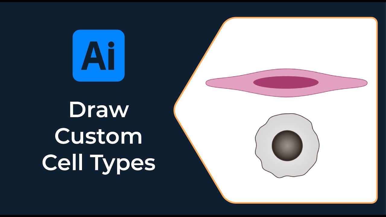How to Draw Cells in Adobe Illustrator