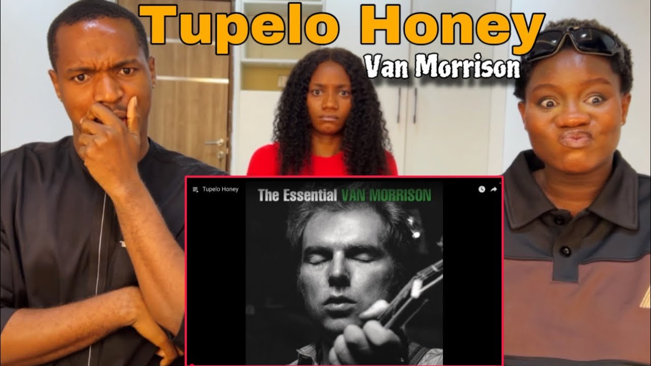 The Most Romantic Song Ever? | Van Morrison - Tupelo Honey REACTION
