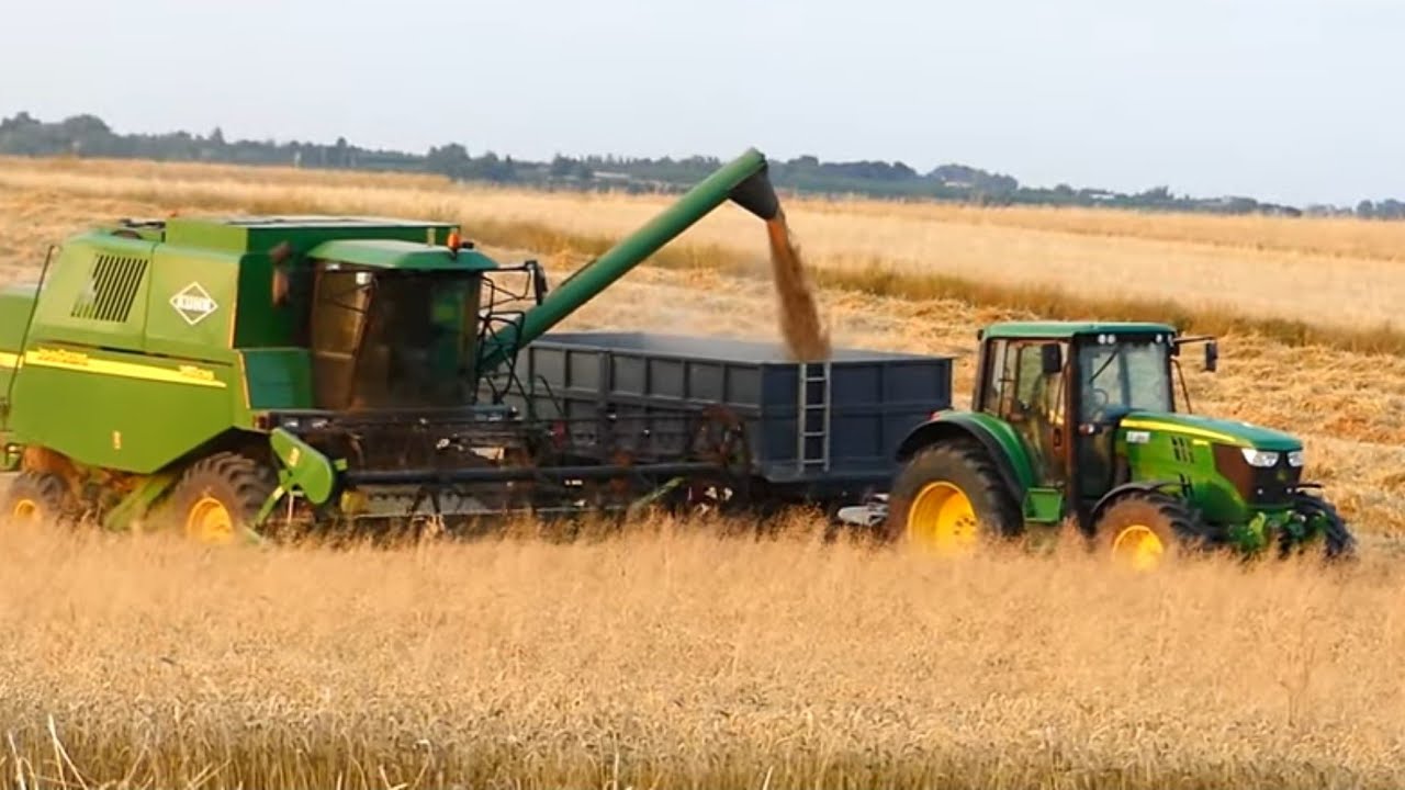 Żniwa pszenicy 2019 w GR Dzioba |Świętokrzyskie| John Deere 1450, Bizon Z056, John Deere 6150M