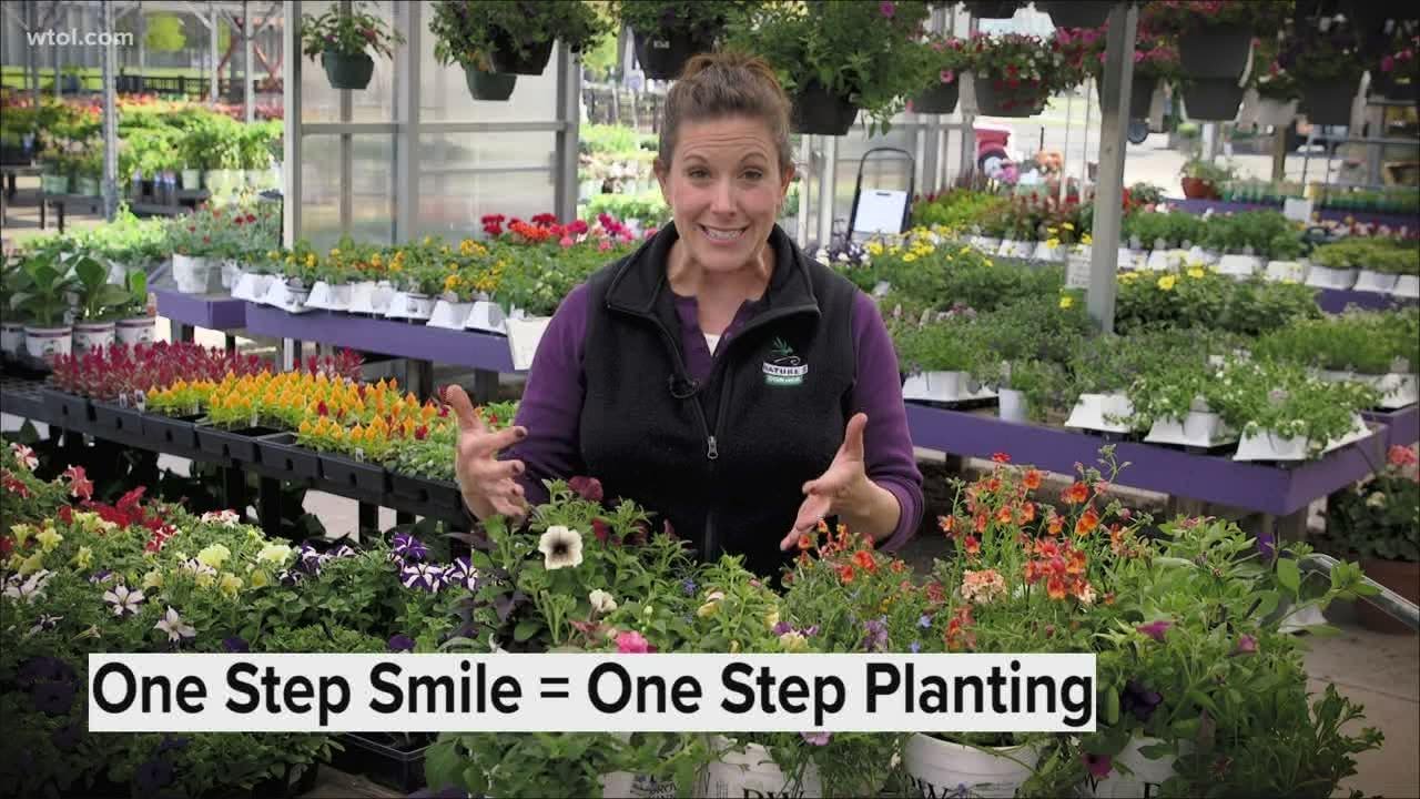 One-step planting | Go419: Nature's Corner