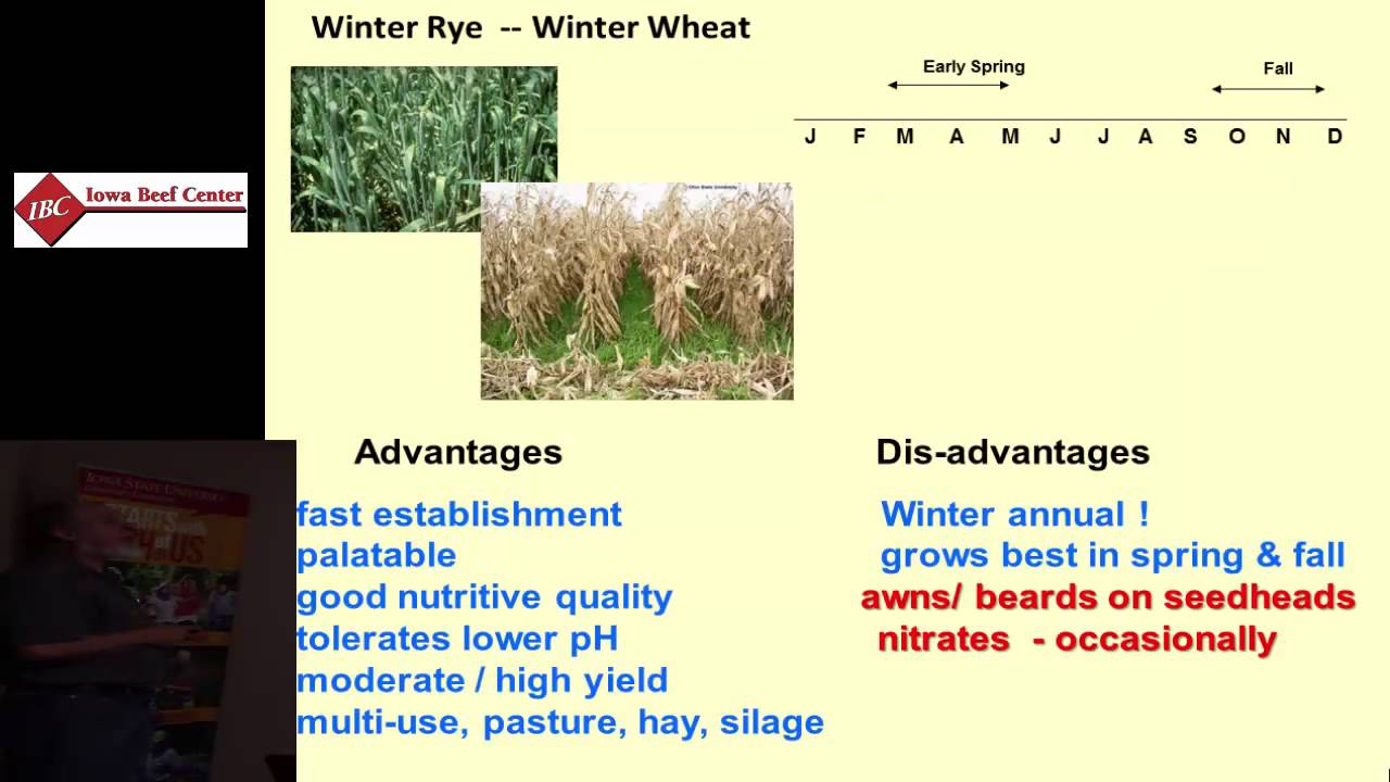 Warm Season and Miscellaneous Forage Species