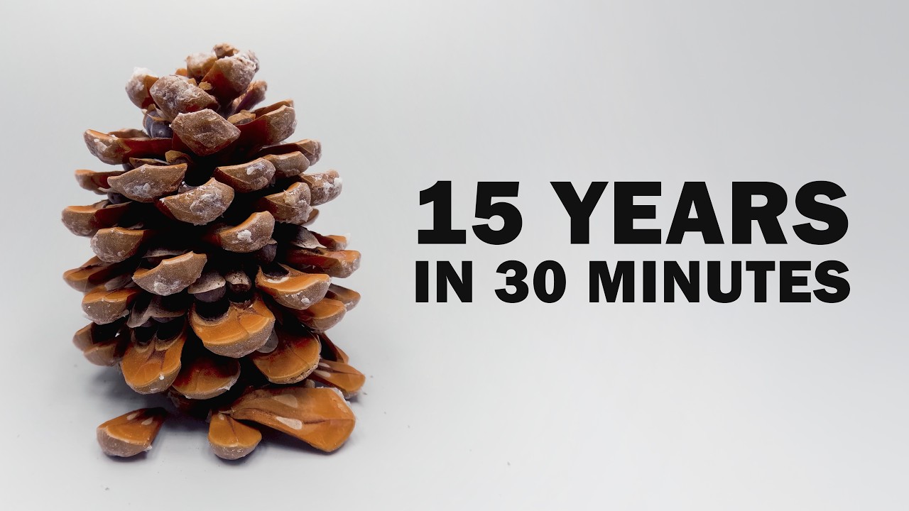 I Filmed Plants For 15 years | Time-lapse Compilation