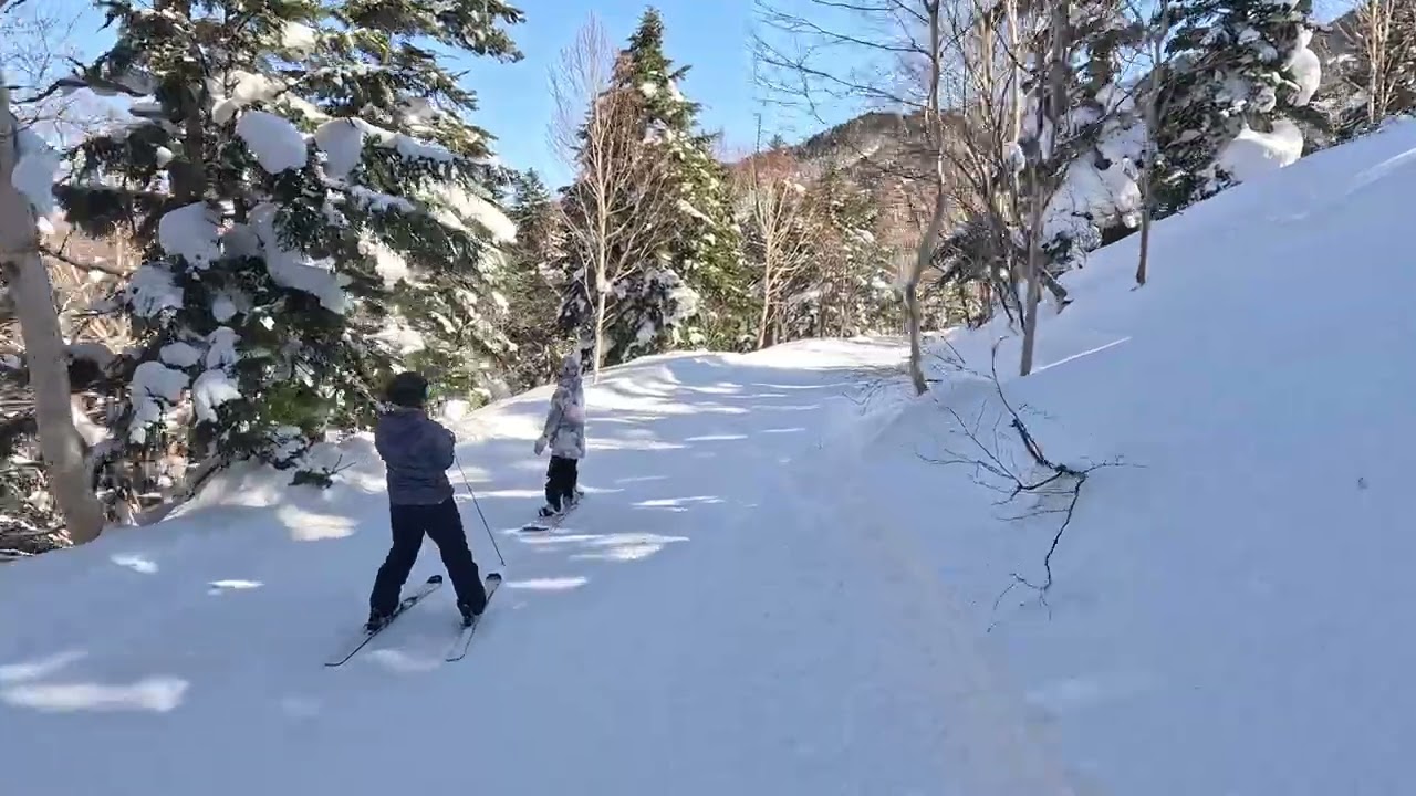 熊の湯・横手山連絡コース（ノーカット）2026.02.14