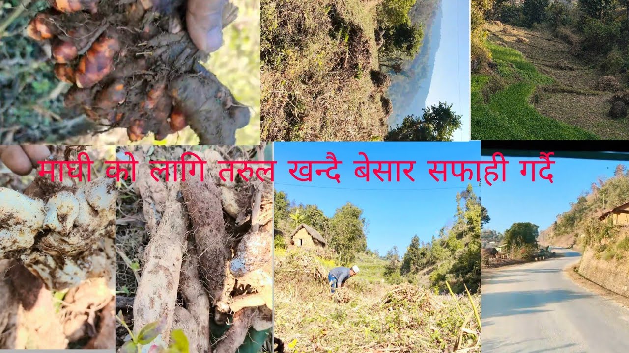 Happy माघेसग्रन्ति । म आज भोलि याता बेस्त छु youtub#video#villagelifechitrakhadka005
