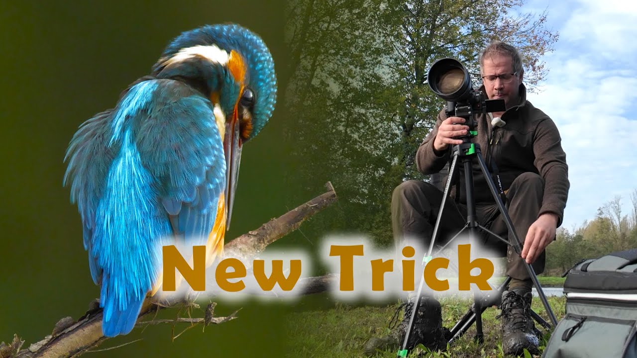 Finding Quietude is Hard | Episode 42: A New Trick...