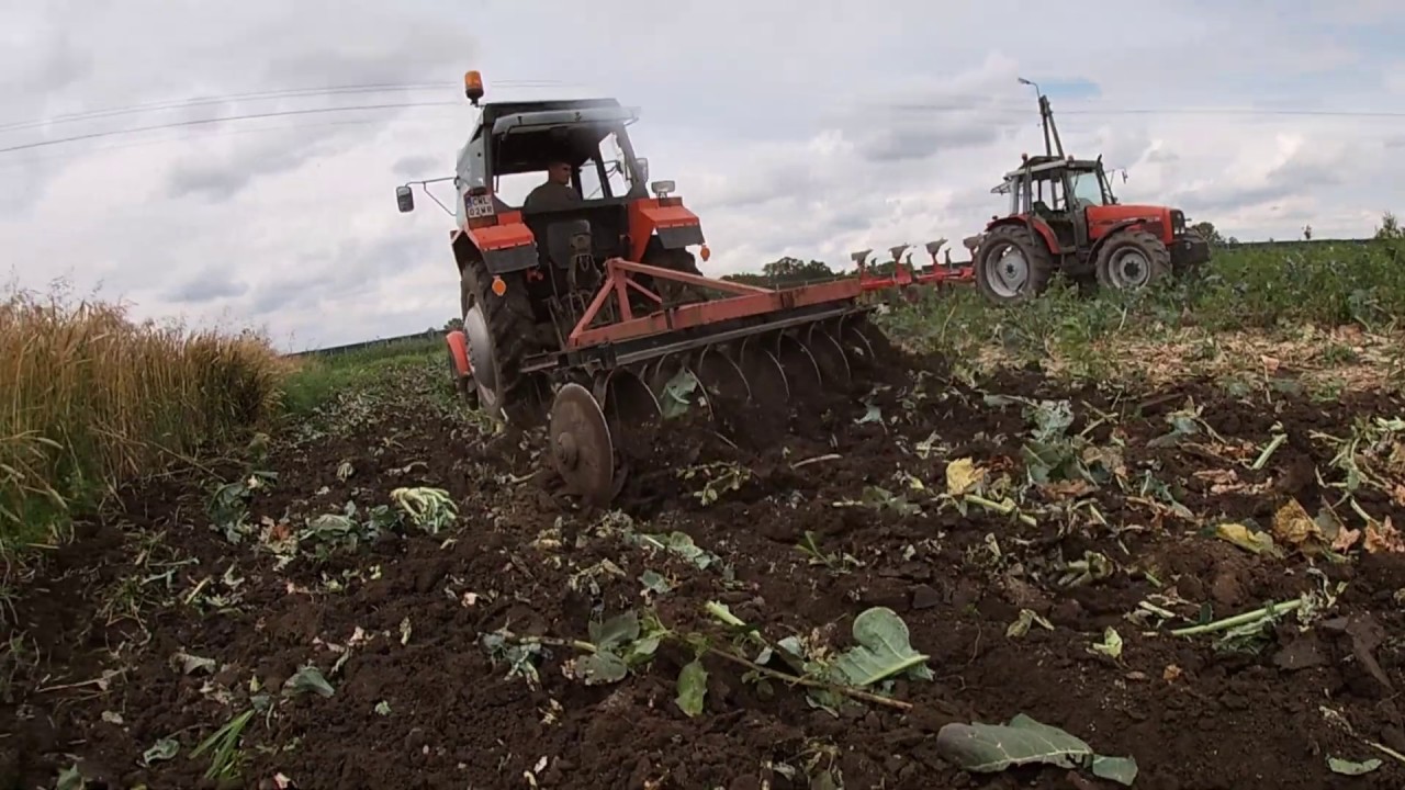 Talerzowanie i Orka 2020 |2x Massey Ferguson| MF 255 engine sound|
