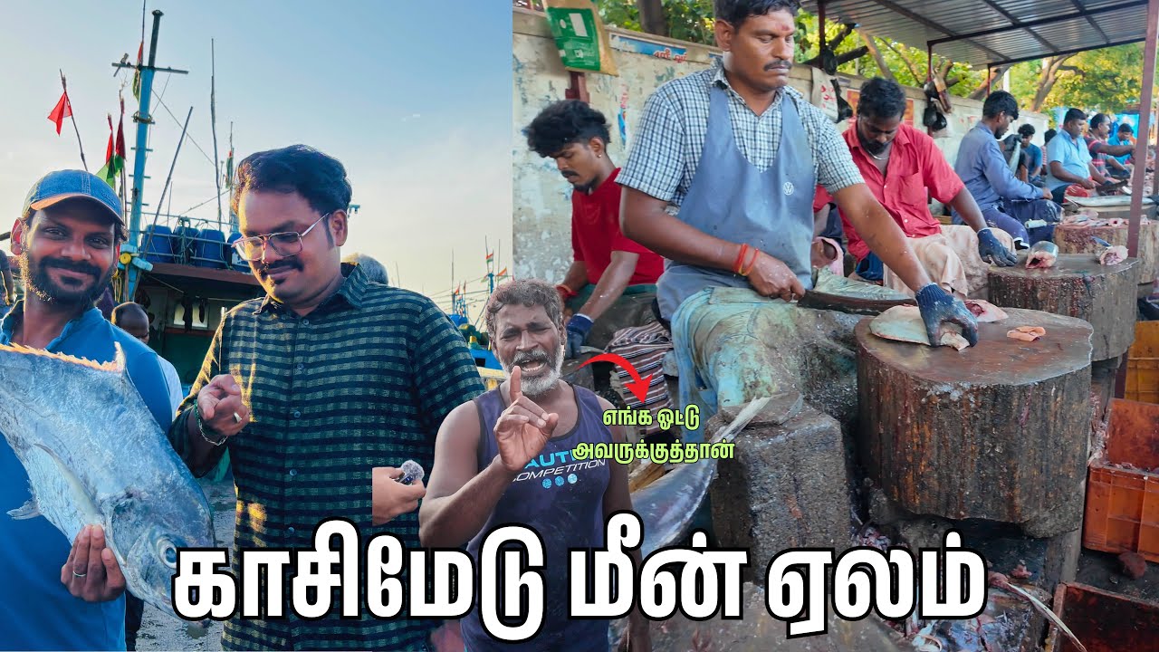 குறைந்த விலையில் மீன் வாங்க காசிமேடு வாங்க । Kasimedu Fish Market