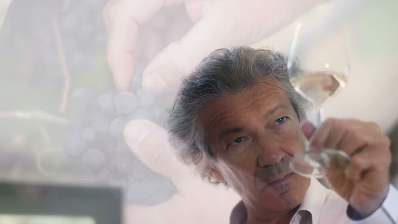 Clos du Temple - Gérard Bertrand