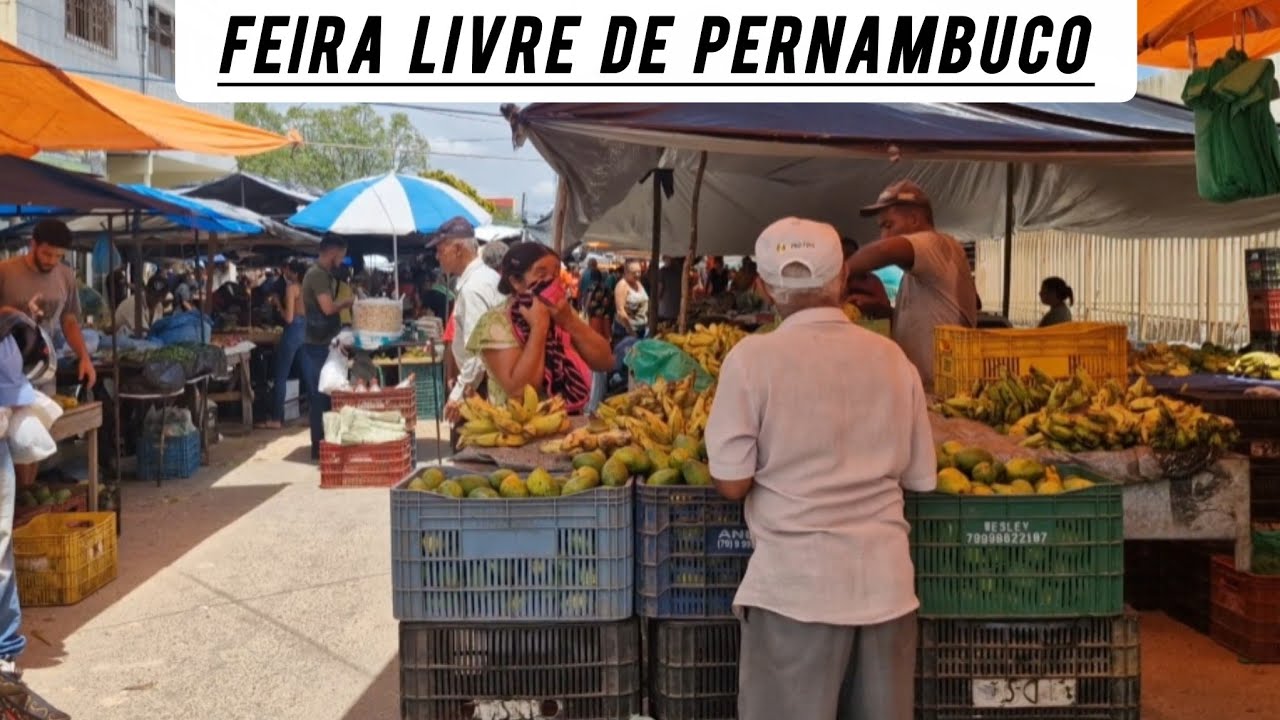 Focados em sustentabilidade e qualidade aqui tem feira livre de iati Pernambuco Brasil 