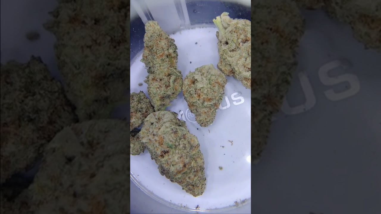 (ROVE) FEATURED FARMS FLOWER - MAC #1