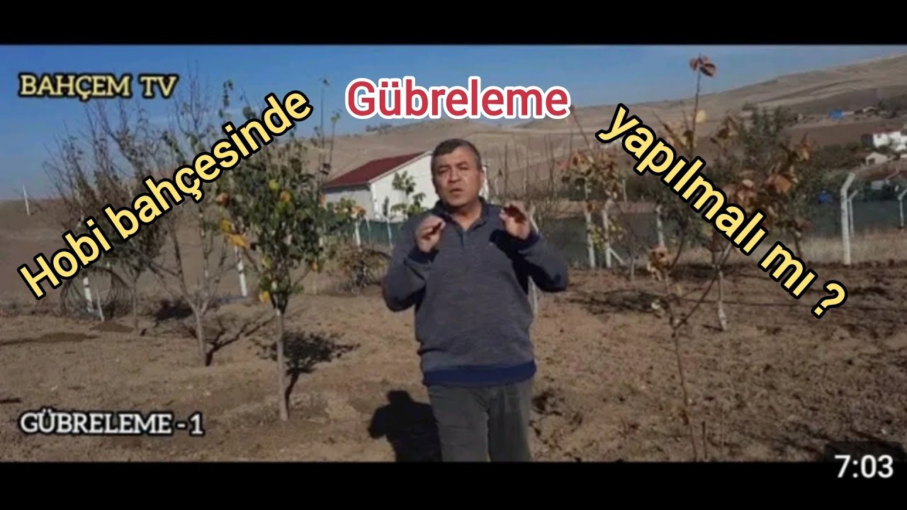 Hayvan gübresi Meyve fidanlarında gübreleme yapılmalı mı? Hobi bahçesinde ağaca gübre atılmalı mı?