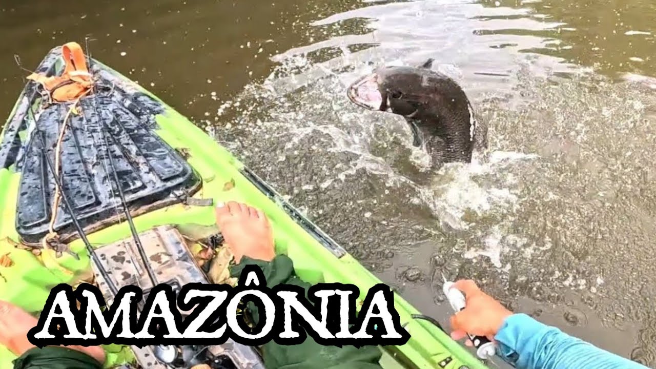 ATAQUES EXPLOSIVOS ATÉ O ANOITECER! Trairões Gigantes da Amazônia - Pescaria de Caiaque em Roraima