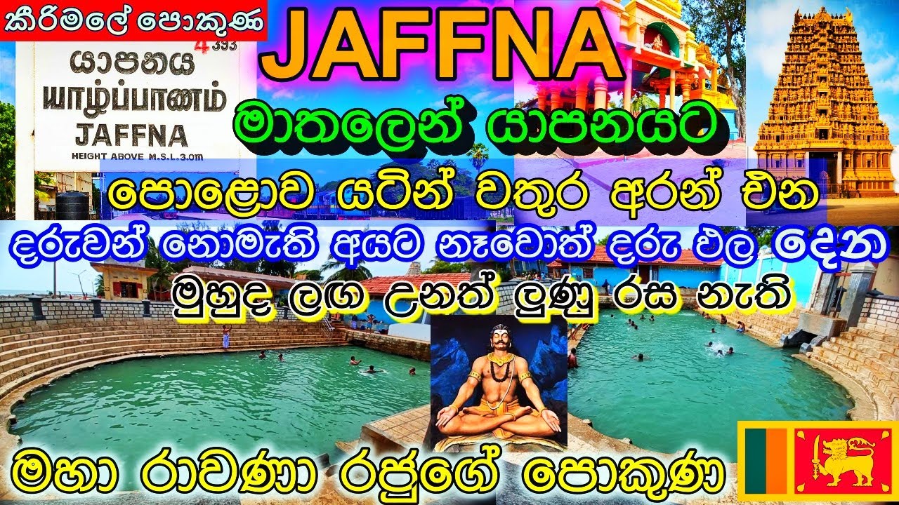 Jaffna l jaffna travel l  KEERIMALAI l Naguleswaram temple l යාපනය l යාපනය සංචාරය l කීරිමලේ පොකුණ