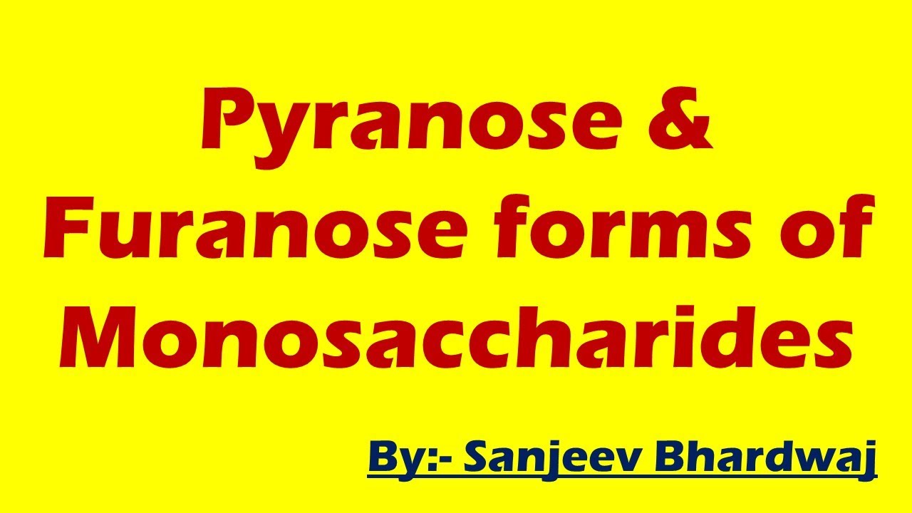 Pyranose and Furanose Forms of Monosaccharides l Pyranose Sugar l Furanose Sugar