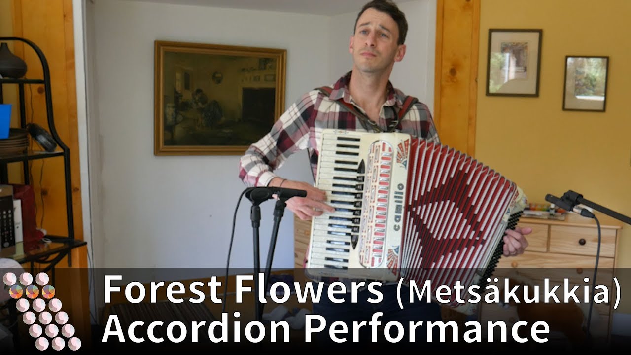 Forest Flowers (Metsäkukkia) - Accordion Performance