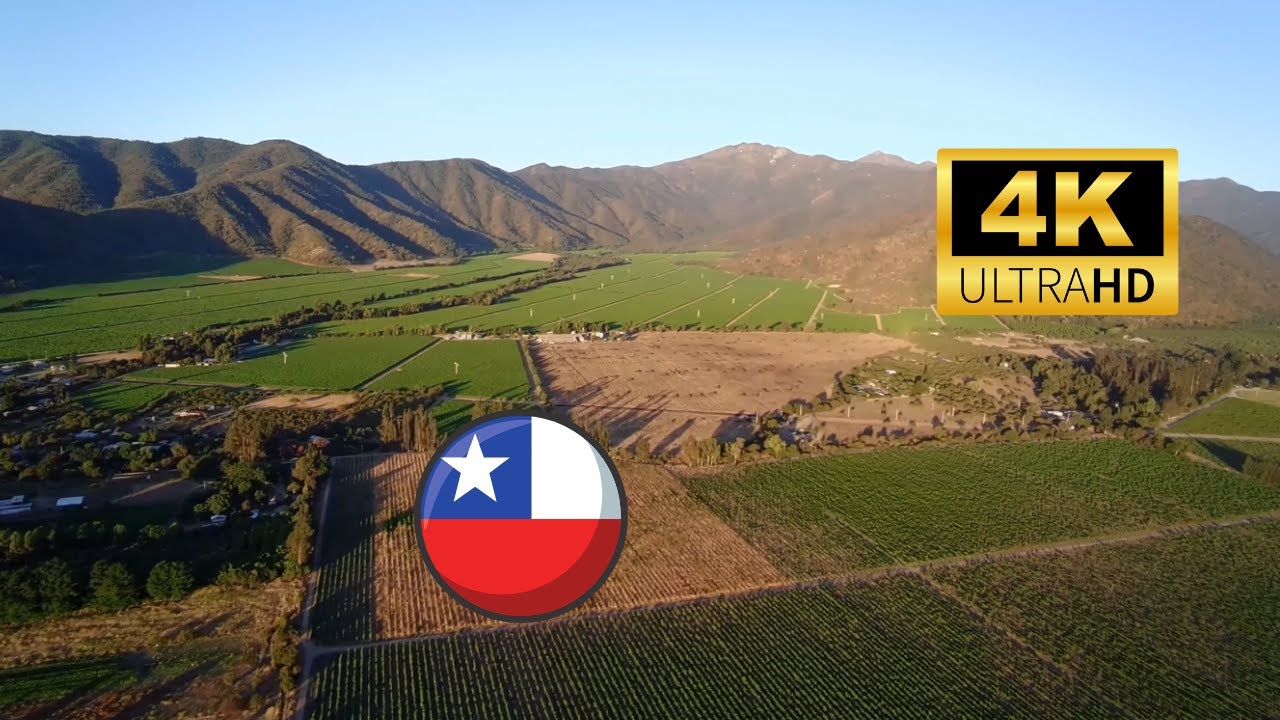 Viñas valle de casablanca drone Chile 4K!