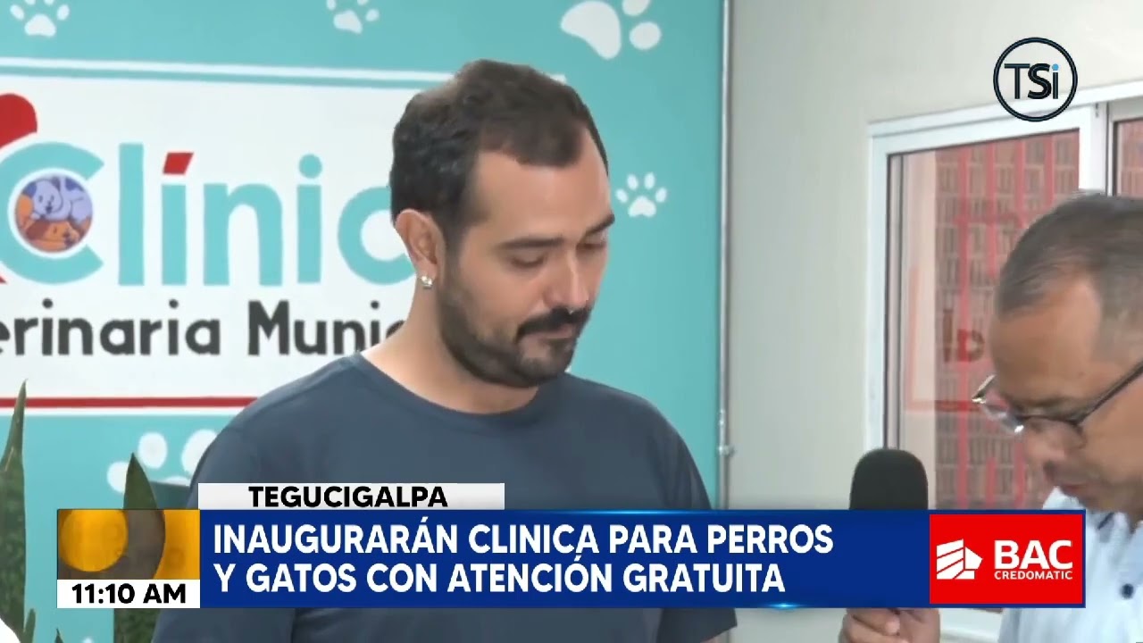 Así es la clínica para mascotas con atención gratuita en la capital