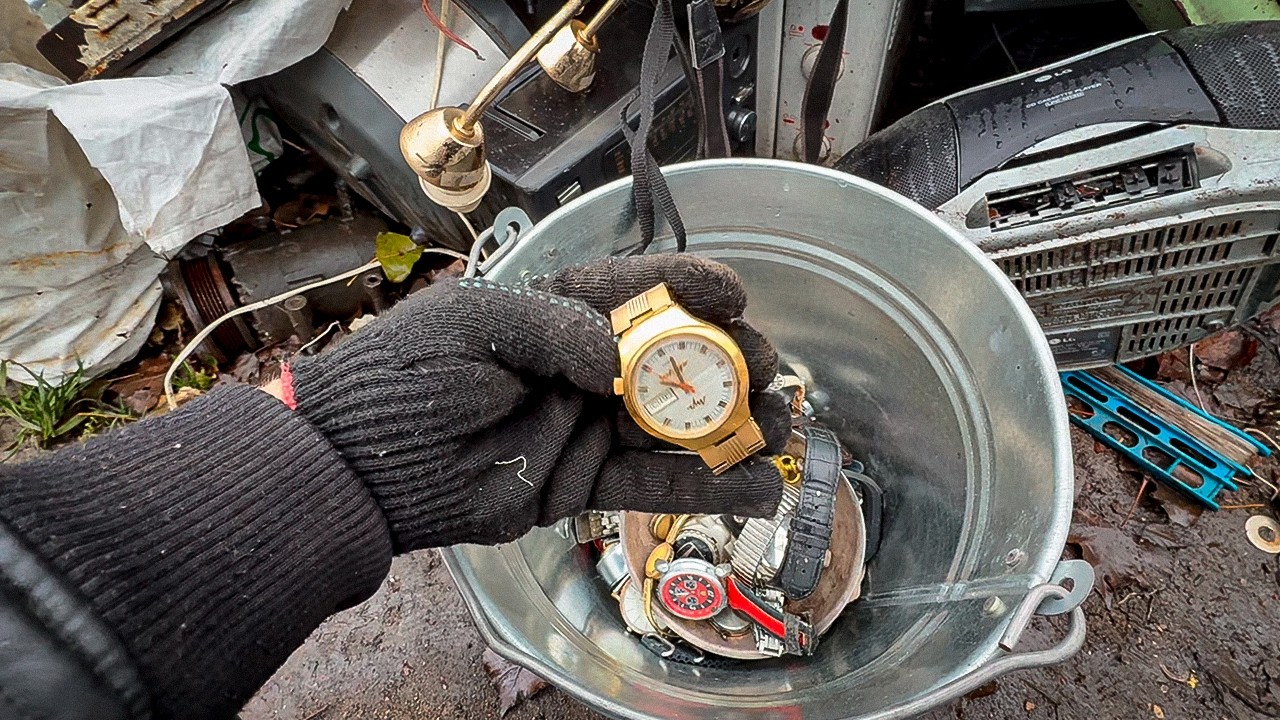 What I Found in ONE BUCKET at the Dump – You Won't Believe It!