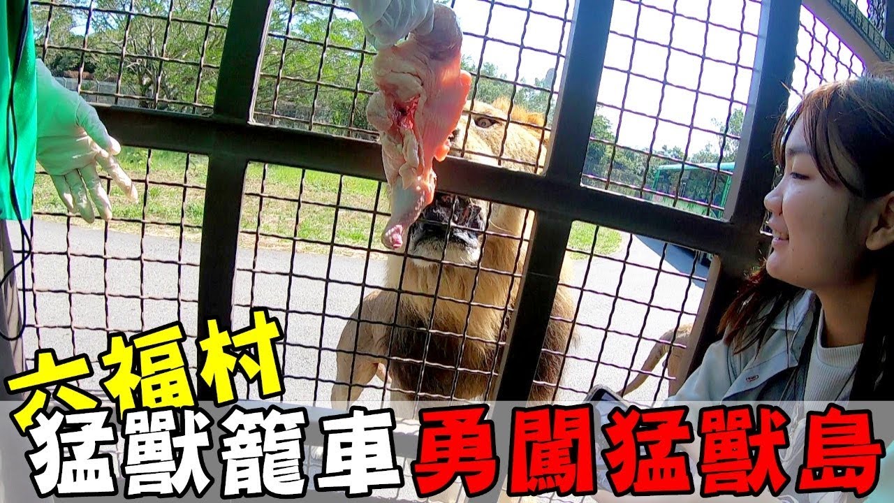 [chu樂] 超級貴的六福村猛獸籠車，一起勇闖吧！