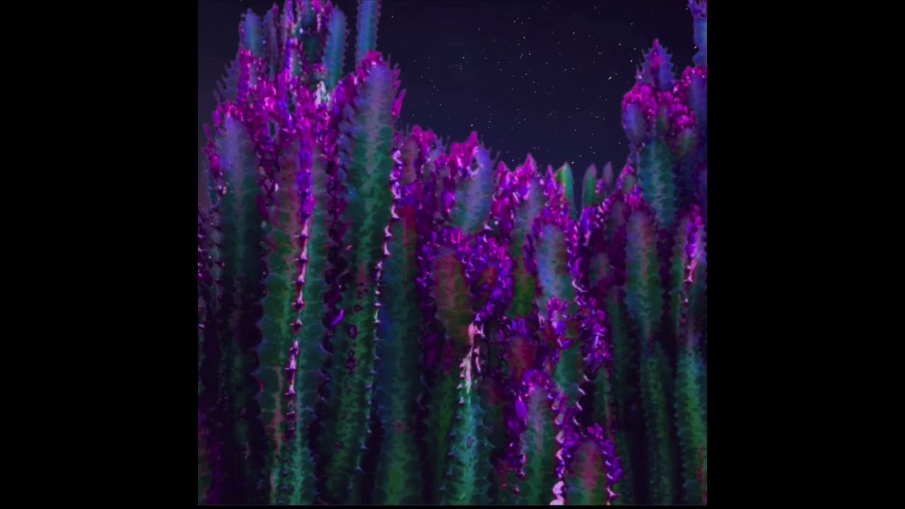 CACTUS FLOWER- ROCK SAMPLE TYPE BEAT