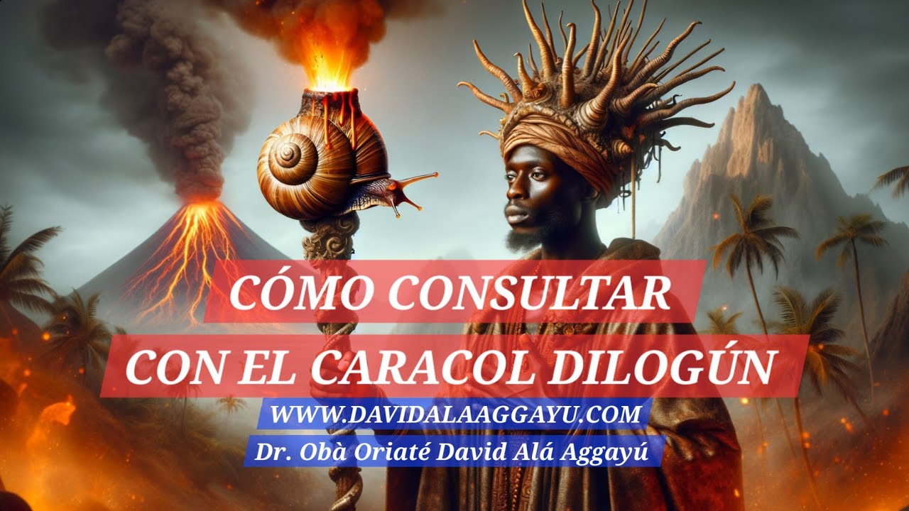 Como Consultar con el Caracol Dilogun 