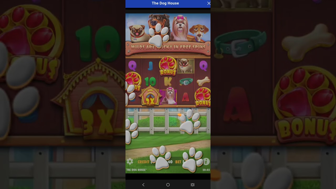 The Dog House Max Bet First Spin Free Spins Bonus!